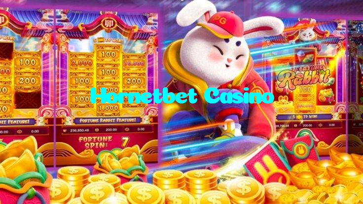 available types of Hornetbet Casino bet including pre-match live express and system bets